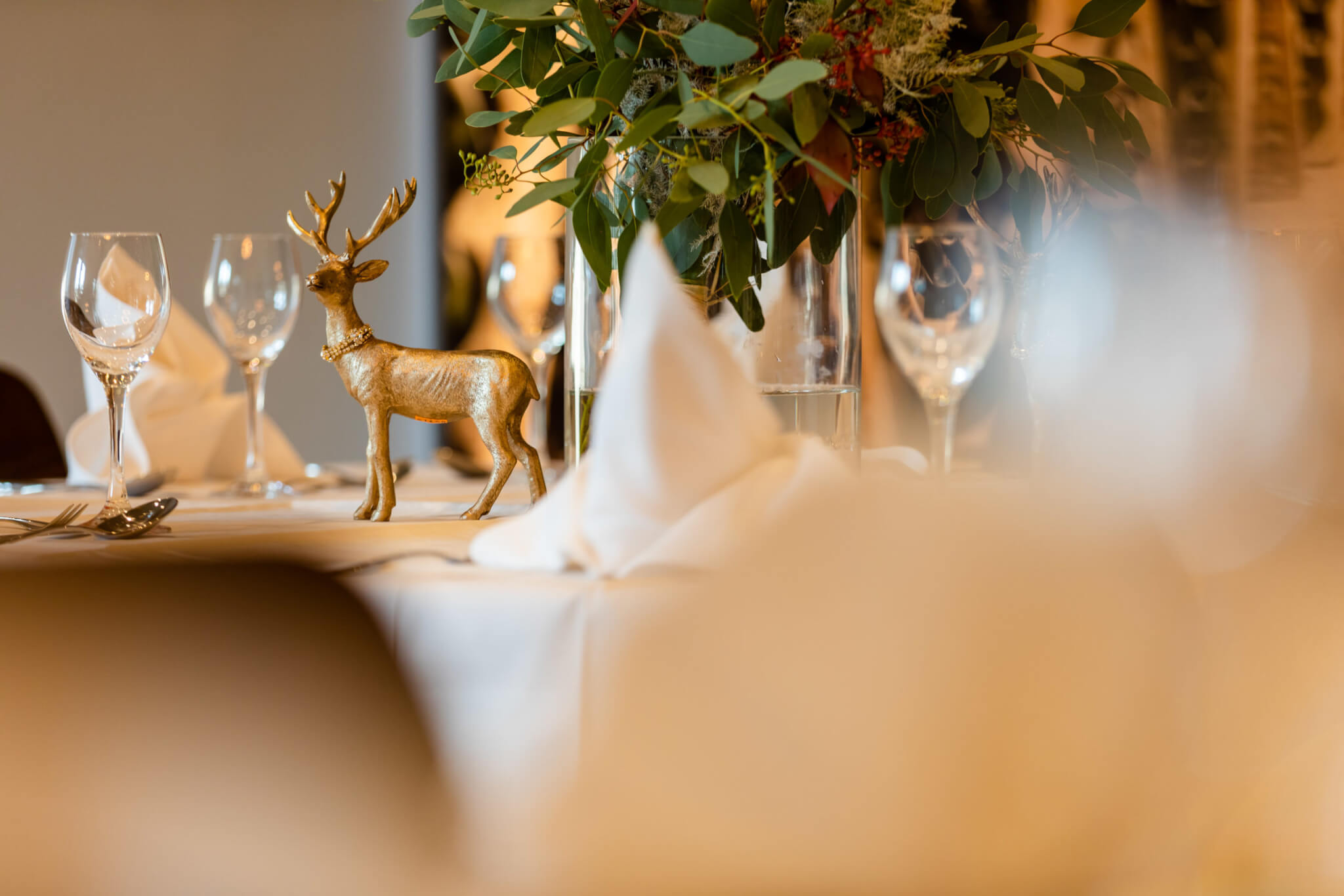 Image-Bilder-Weisser-Hirsch